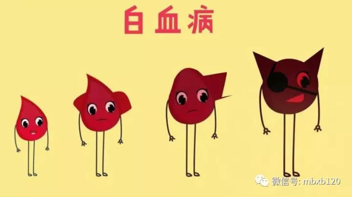 慢粒白血病预后好不好?与五个因素有关