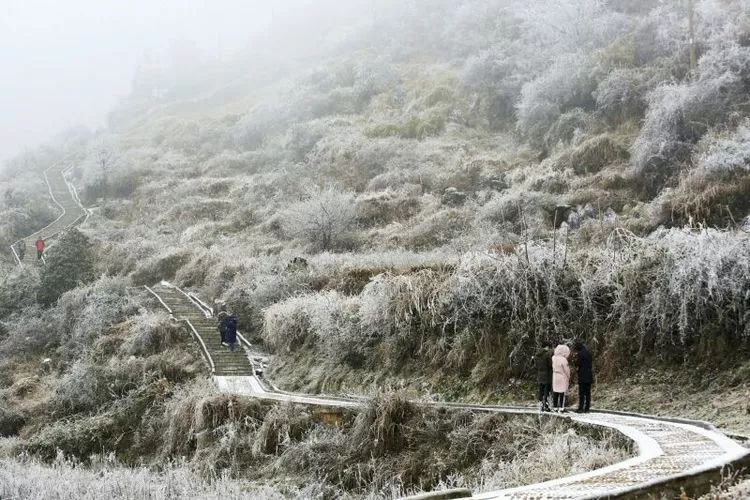 凯里公交1月28日公交运营情况!小高山雪景全集