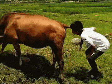 不要不分场合的吹牛