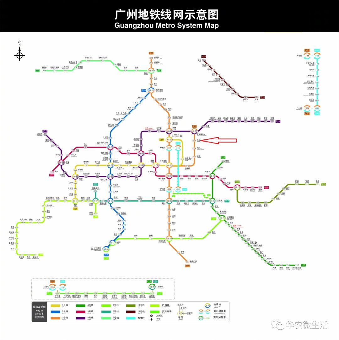 广州地铁线路图